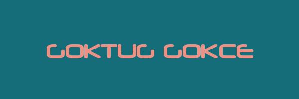 GOKTUG GOKCE Logo