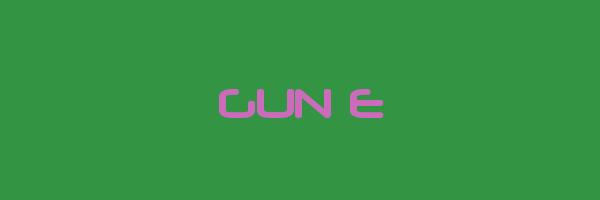 GUN E Logo
