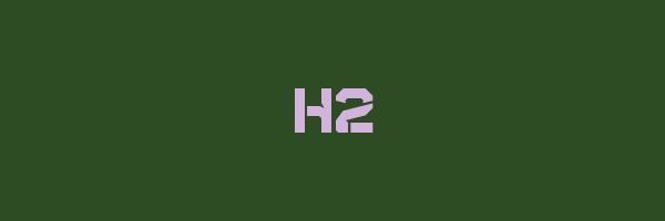 H2 Logo