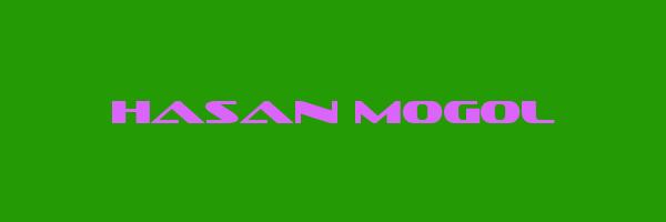 HASAN MOGOL Logo