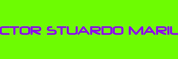 HECTOR STUARDO MARILEO Logo