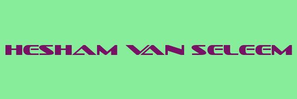 HESHAM VAN SELEEM Logo