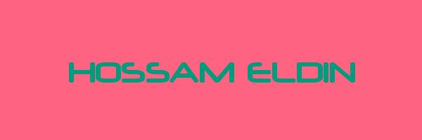 HOSSAM ELDIN Logo