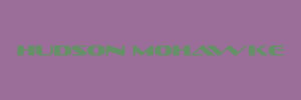 HUDSON MOHAWKE Logo