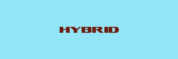 HYBRID Logo