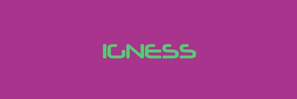 IGNESS Logo