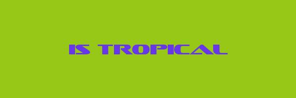 IS TROPICAL Logo