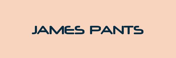 JAMES PANTS Logo