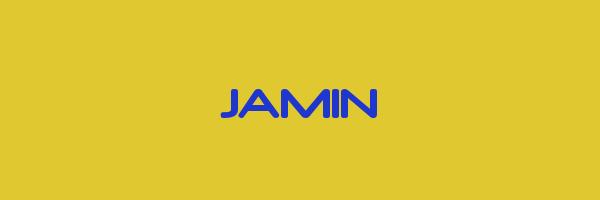 JAMIN Logo