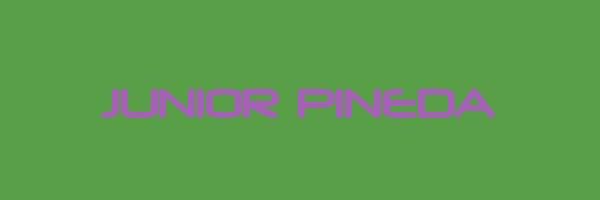 JUNIOR PINEDA Logo