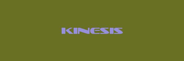 KINESIS Logo