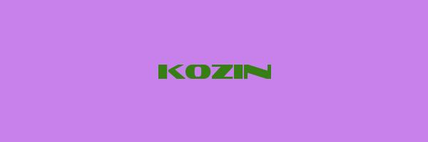 KOZIN Logo