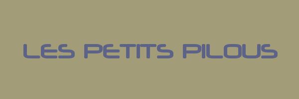 LES PETITS PILOUS Logo
