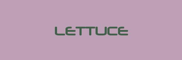 LETTUCE Logo