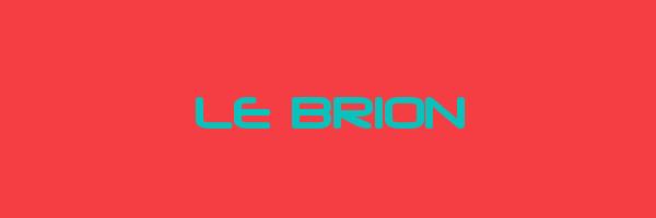 LE BRION Logo