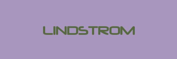 LINDSTROM Logo