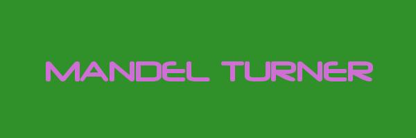 MANDEL TURNER Logo