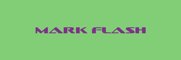 MARK FLASH Logo