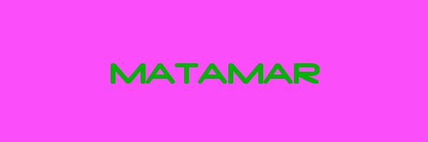 MATAMAR Logo