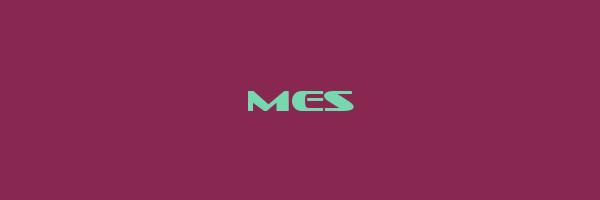 MES Logo