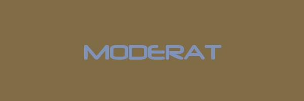 MODERAT Logo