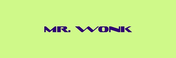 MR. WONK Logo