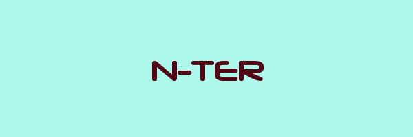 N-TER Logo