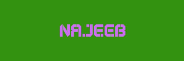 NAJEEB Logo