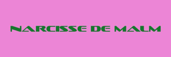 NARCISSE DE MALM Logo