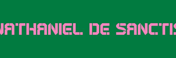NATHANIEL DE SANCTIS Logo