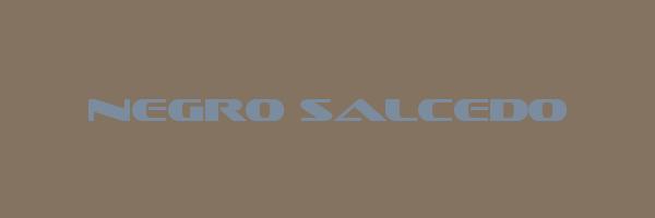 NEGRO SALCEDO Logo