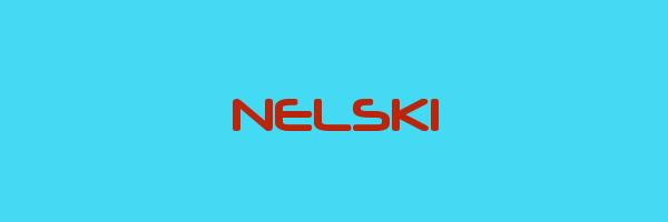 NELSKI Logo
