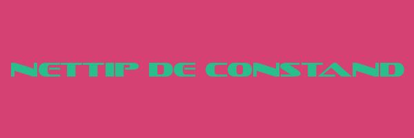 NETTIP DE CONSTAND Logo
