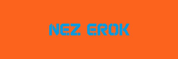 NEZ EROK Logo