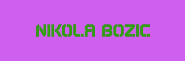 NIKOLA BOZIC Logo
