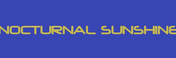 NOCTURNAL SUNSHINE Logo