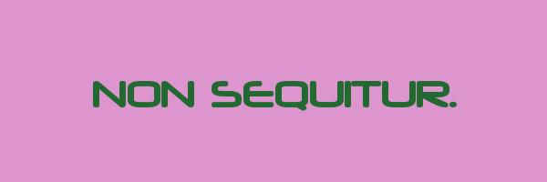 NON SEQUITUR. Logo