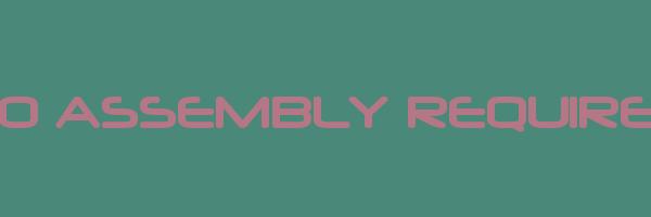 NO ASSEMBLY REQUIRED Logo