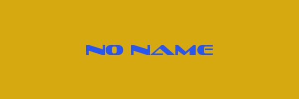 NO NAME Logo