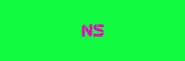 NS Logo
