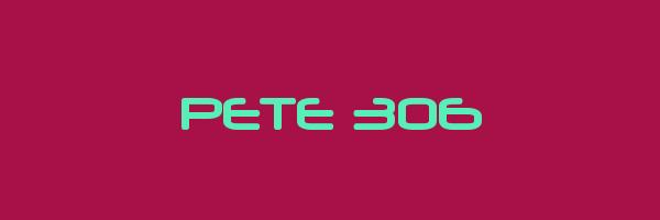 PETE 306 Logo