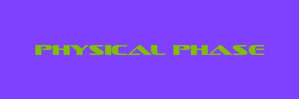 PHYSICAL PHASE Logo