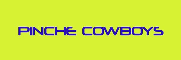 PINCHE COWBOYS Logo