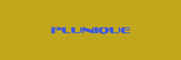 PLUNIQUE Logo