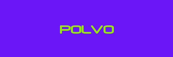 POLVO Logo