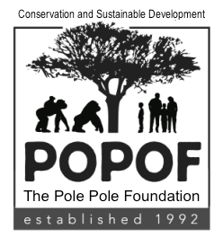 POPOF Logo