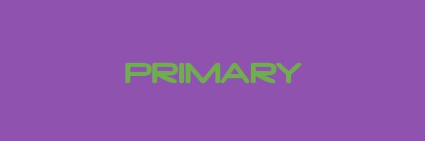 PRIMARY Logo