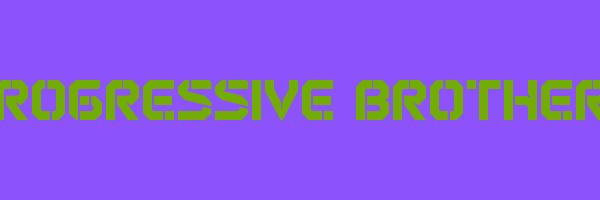 PROGRESSIVE BROTHERS Logo