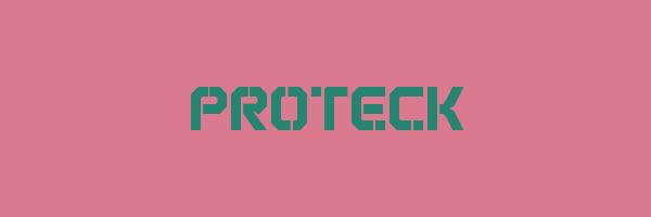 PROTECK Logo