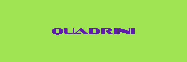 QUADRINI Logo